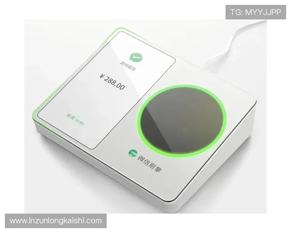 尊龙娱乐城多样化的支付方式满足不同用户的支付需求